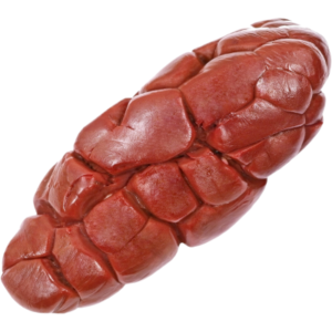 Kenyan beef kidney